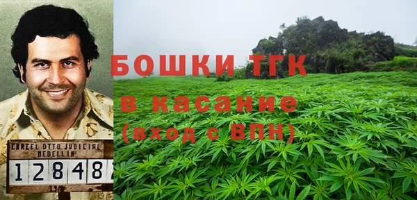 шишки Вяземский